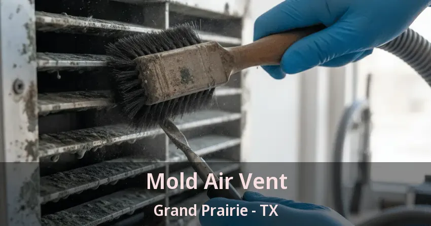 Mold Air Vent Grand Prairie - TX Mold Air Vent Grand Prairie - TX