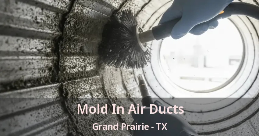 Mold In Air Ducts Grand Prairie - TX