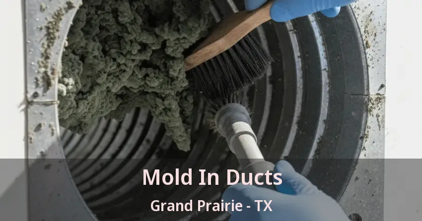 Mold In Ducts Grand Prairie - TX Mold In Ducts Grand Prairie - TX