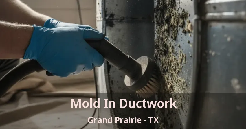 Mold In Ductwork Grand Prairie - TX Mold In Ductwork Grand Prairie - TX