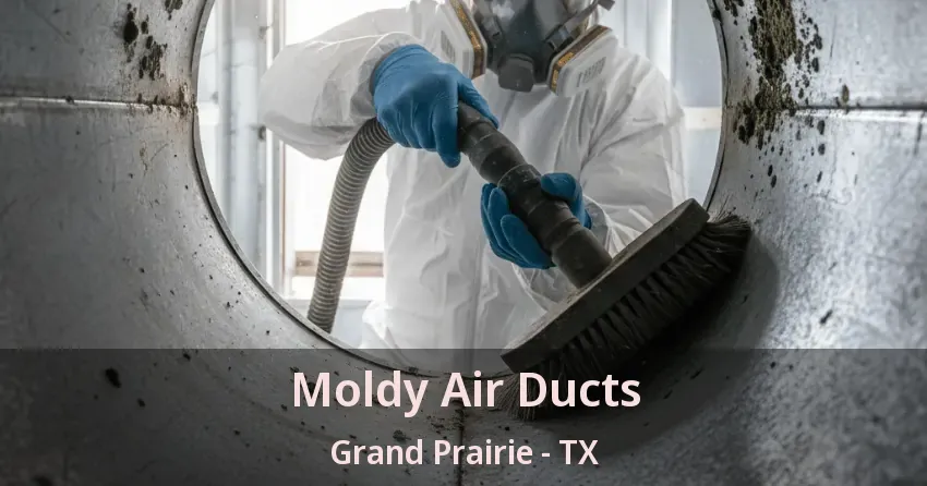 Moldy Air Ducts Grand Prairie - TX